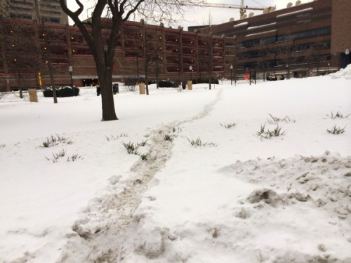 Desire Line at Nano Building