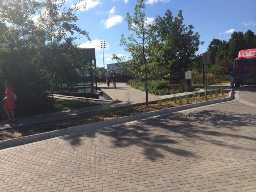 A tree! That's how we solve a desire line.
