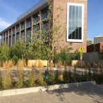 Sidewalk at McNamara 2