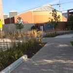 Sidewalk at McNamara