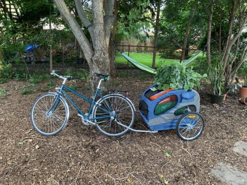 Biking with plants