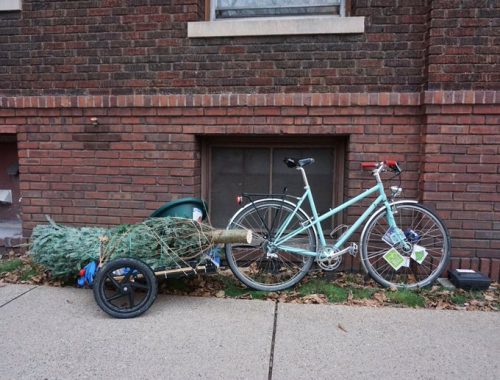 Biking with a Christmas tree