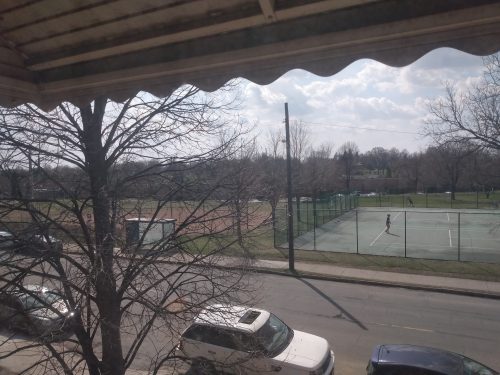 The view from the author's window of the park across the street.