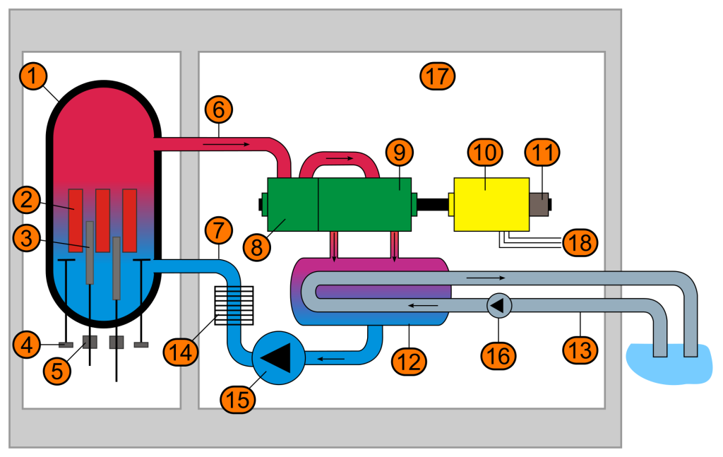 Schematic diagram of a boiling water reactor (BWR):