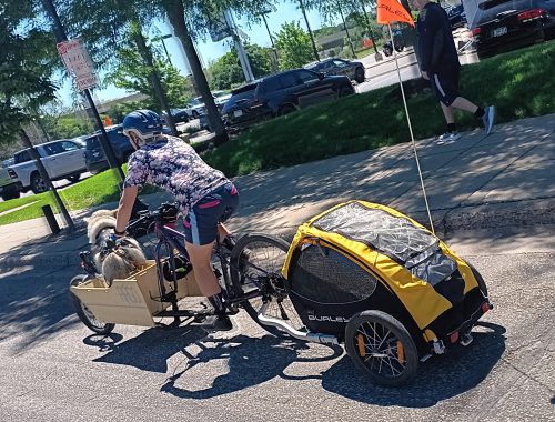 Bandit's in the front, wind in his fur, happy as a dog. Risa is pedaling. There's some motion blur as your author was doing their best holding a camera while keeping pace. We took the lane on a very sleepy street in Hopkins of a late Sunday morning. 