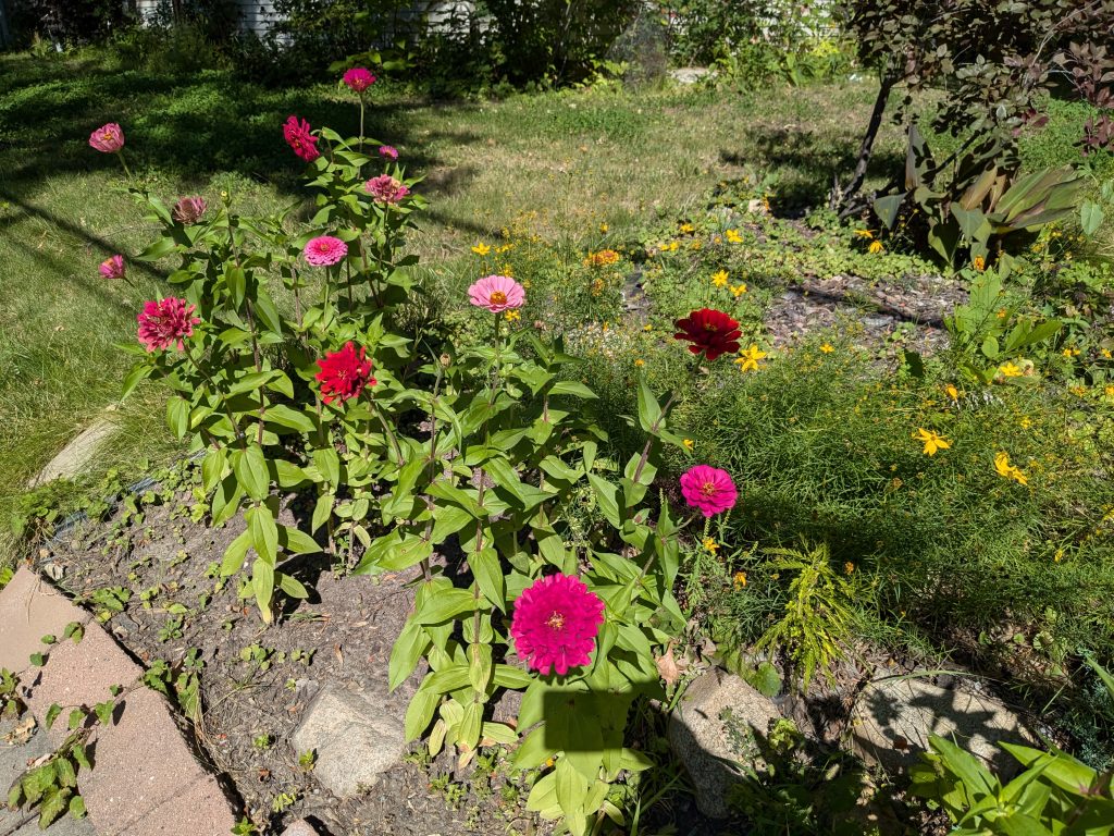 Flowers adorn a yard in the Near North neighborhood of Minneapolis.