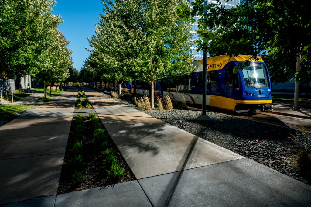A train running parallel to a broad, tree-lined sidewalk with a median of plantings.