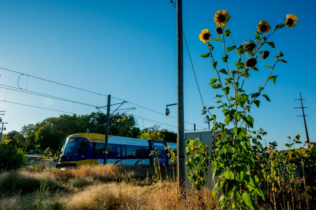 A train in the background, with an expanse of blue sky overhead and grasses and sunflowers in the foreground.