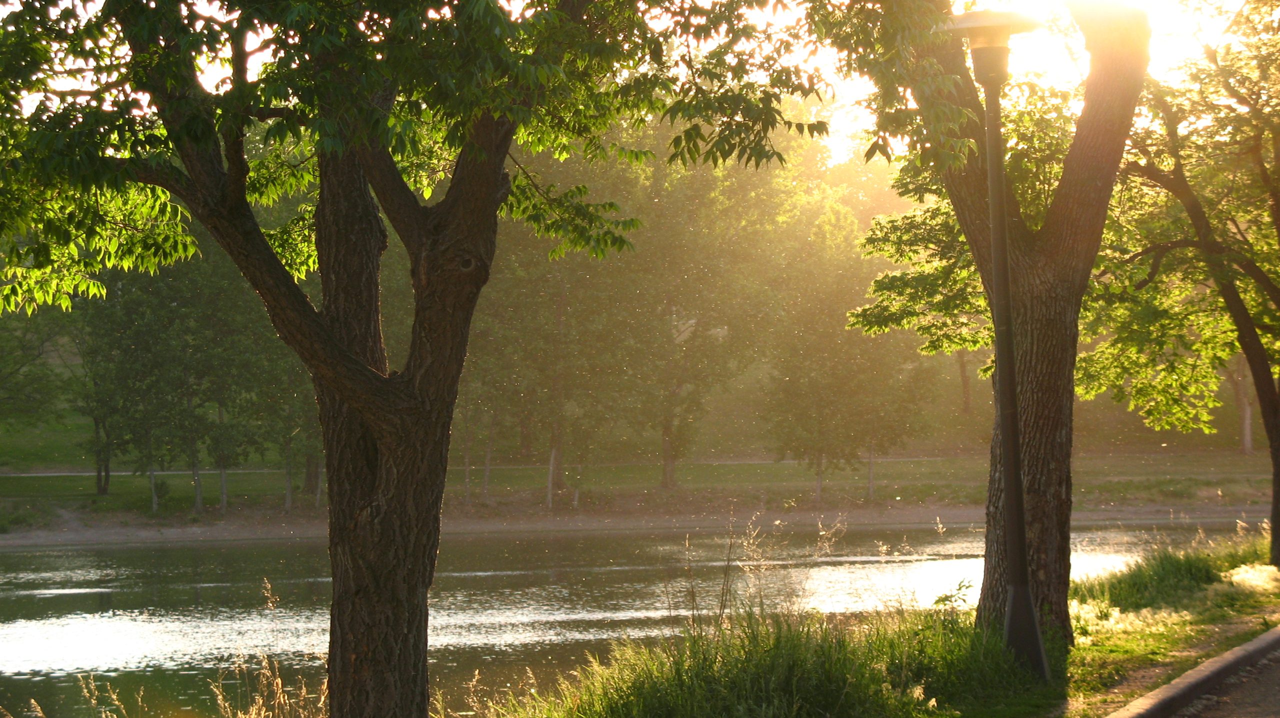 The lake in Powderhorn Park is cast in a golden, green light just before dusk. 