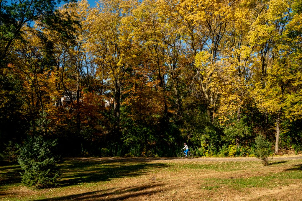A long shot shows a cyclist in the background on a path with many trees beyond them. 