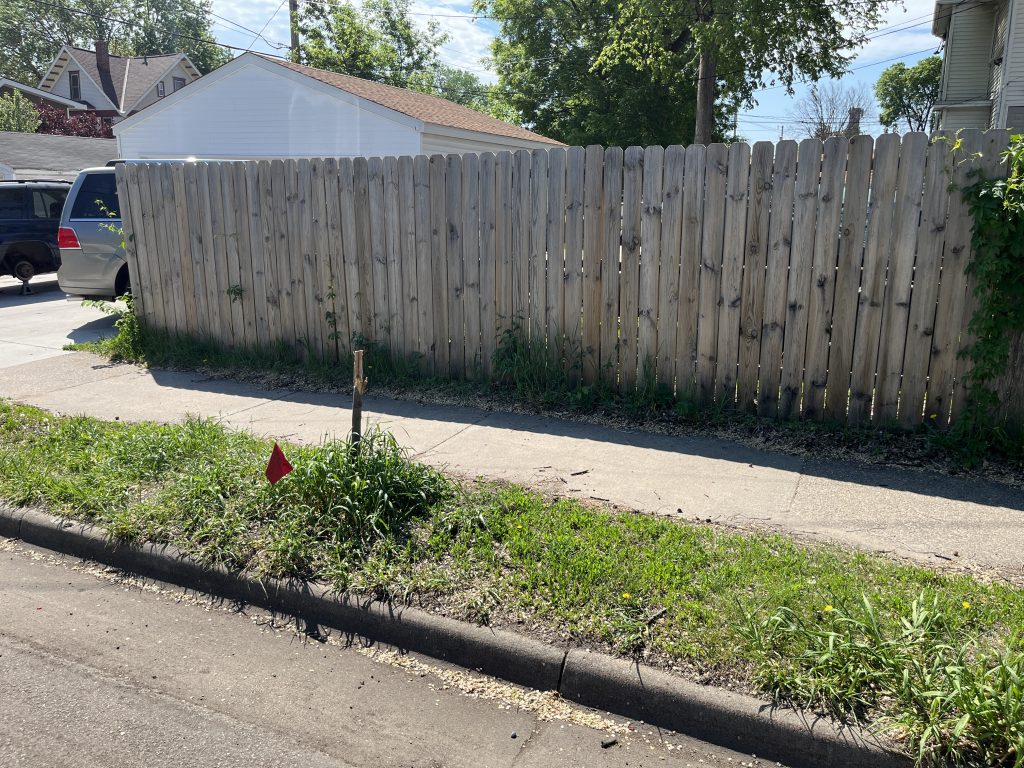 This photo shows a decapitated stump of a young tree in the narrow tree boulevard along 36th Street.