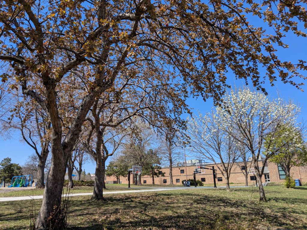 tree-rich parkland with two-story brick building in background