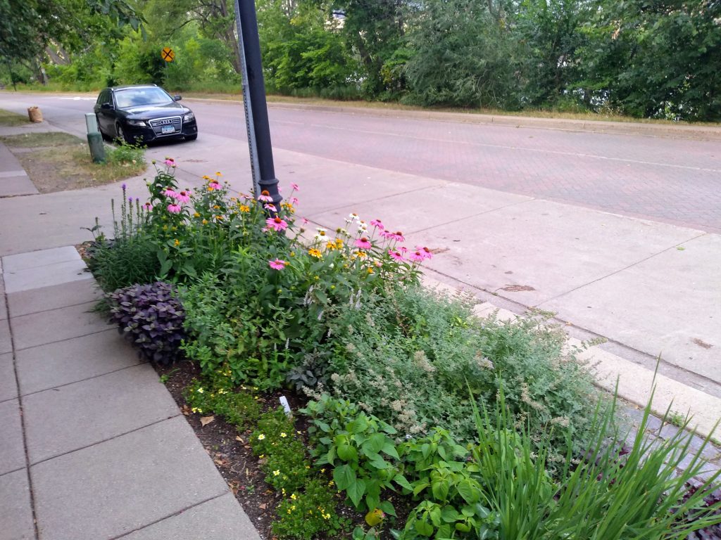 boulevard plantings