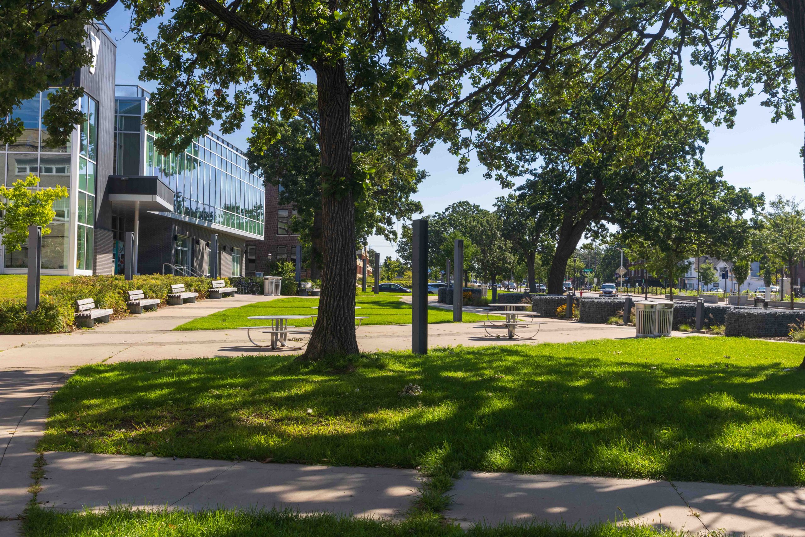 An old stand of oaks and the facade of the Midway YMCA.