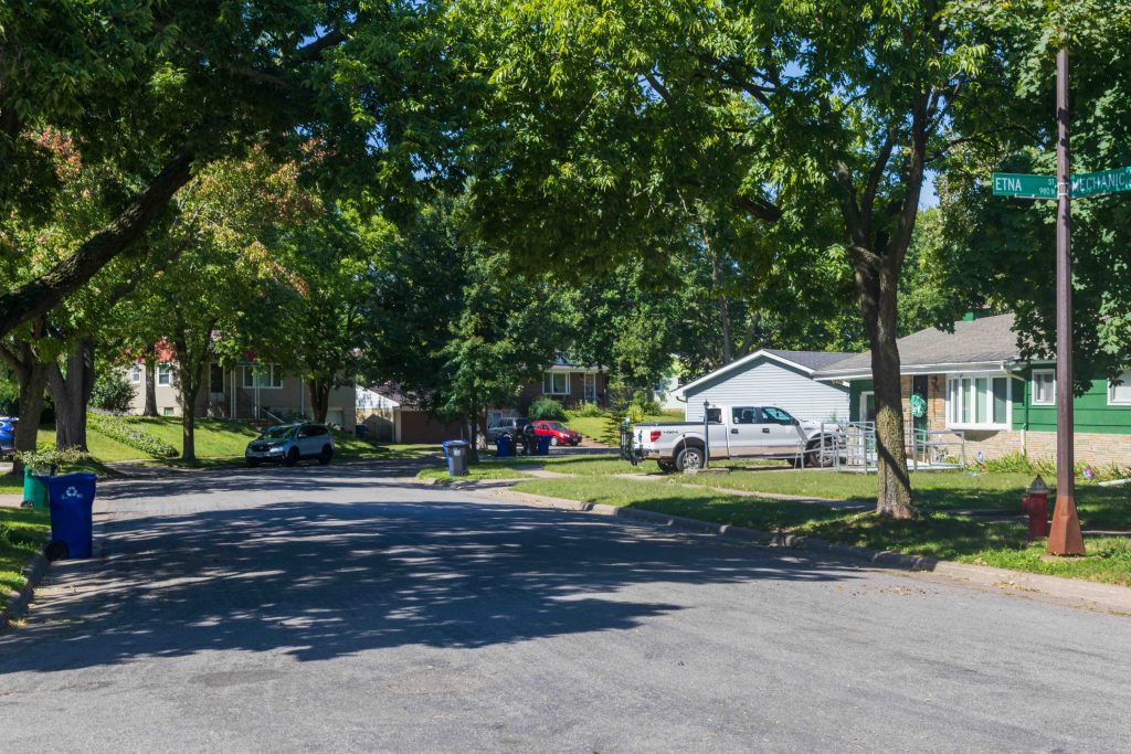 Canopy of trees over Mechanic Ave