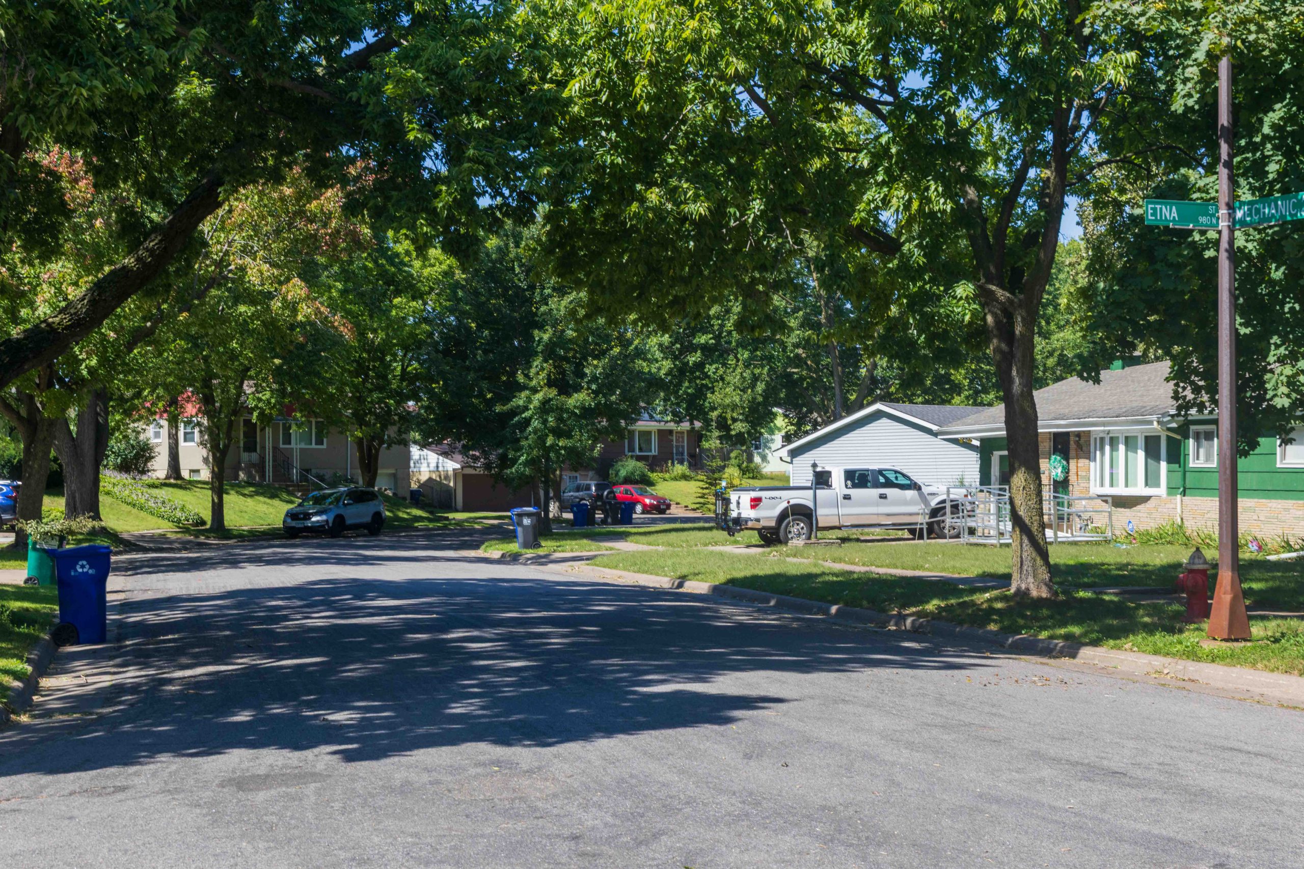 Canopy of trees over Mechanic Ave.