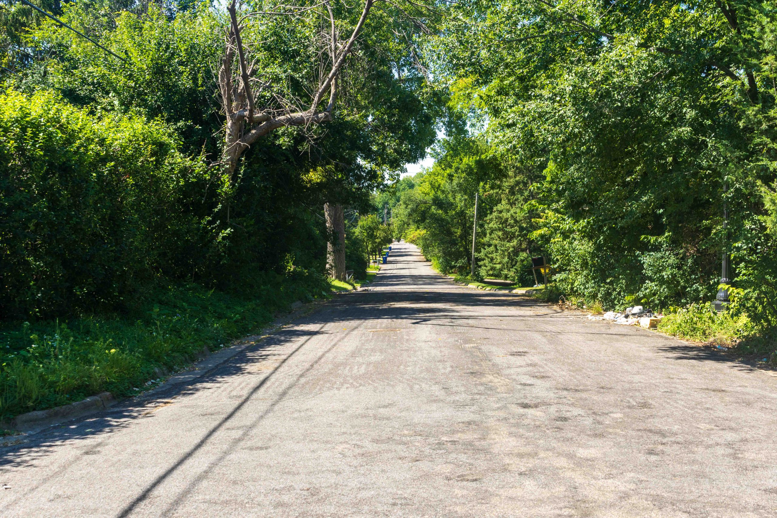 View of Ames Ave. looking west. Trees and road.