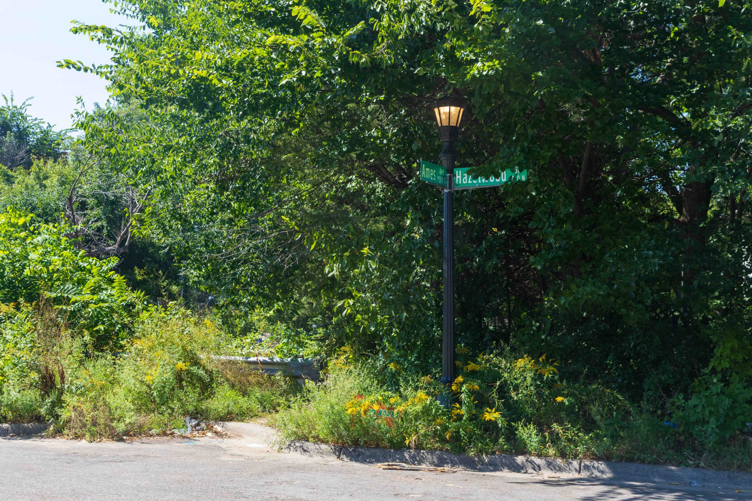 Weeds and overgrown bushes obscure the metal crash barrier that keeps traffic from going through on Ames.