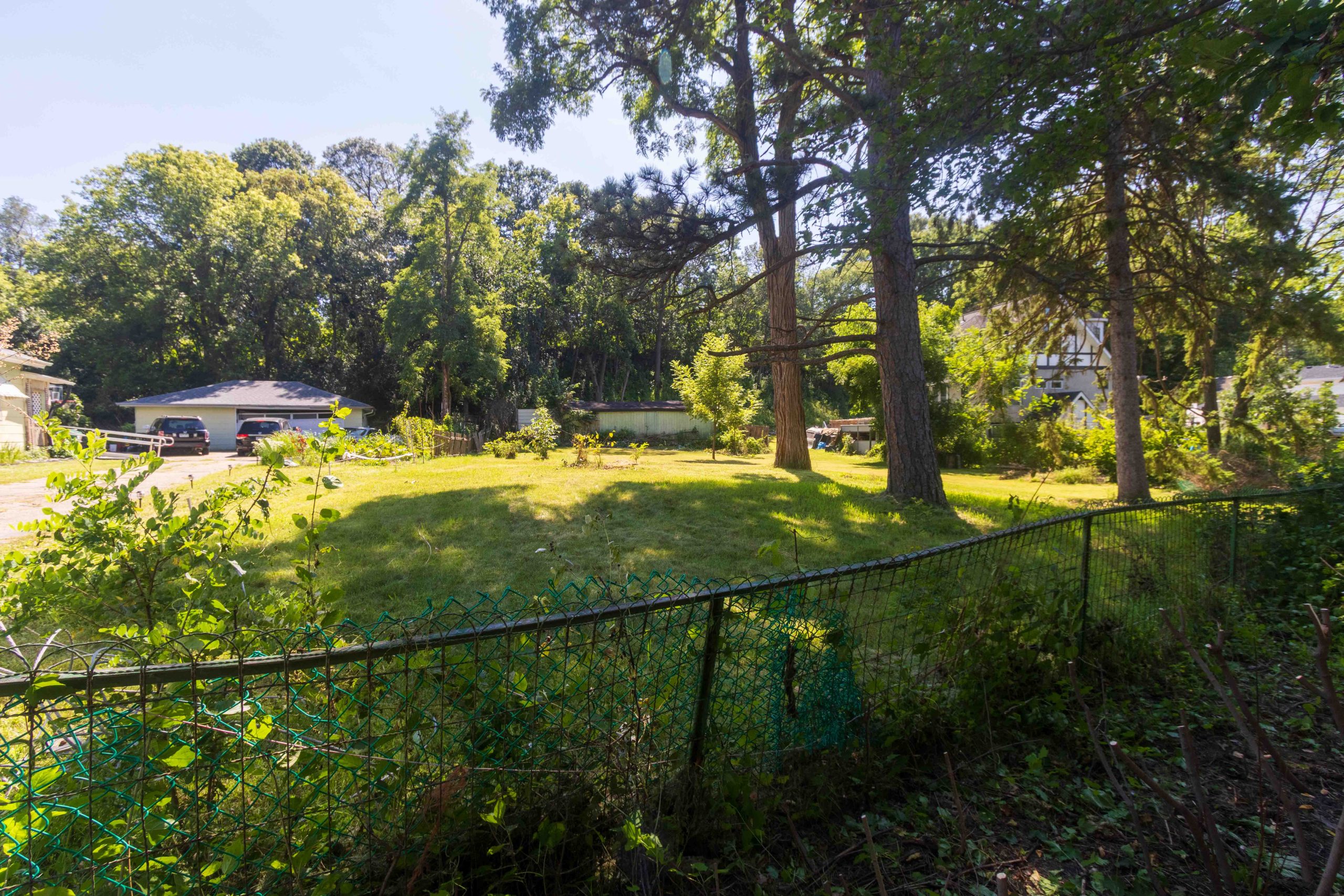 Grass and trees of the nearly half acre lot of 1494 Ames.