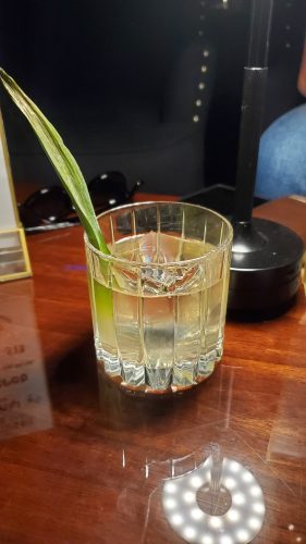 A cocktail with a leaf and ice cube.