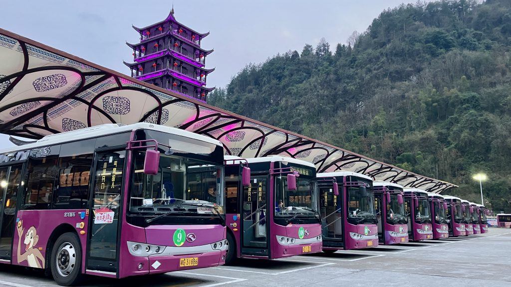 Parking lot with 10 identical purple buses adjacent to forested hill 