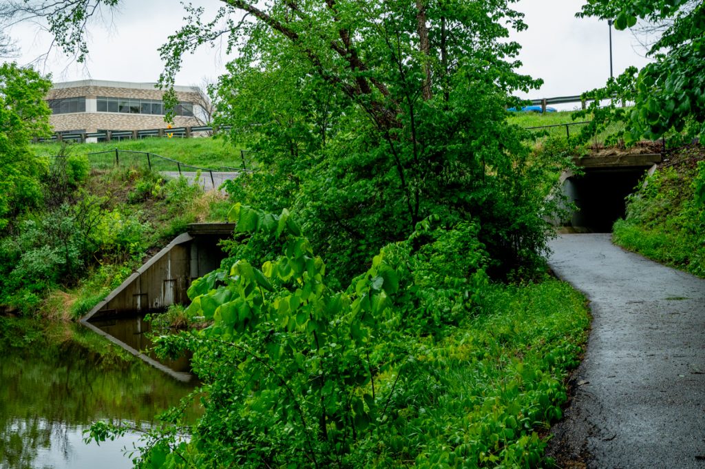 A creek and paved path with greenery down the middle and office building in the distance