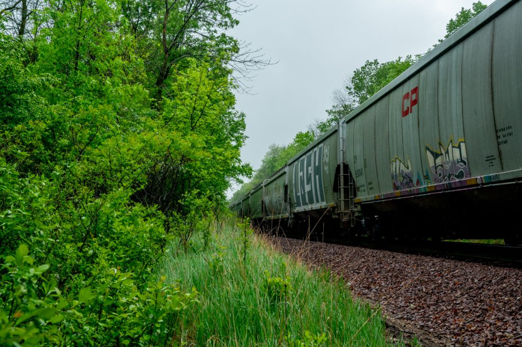A stopped train on the right of the frame and greenery on the left
