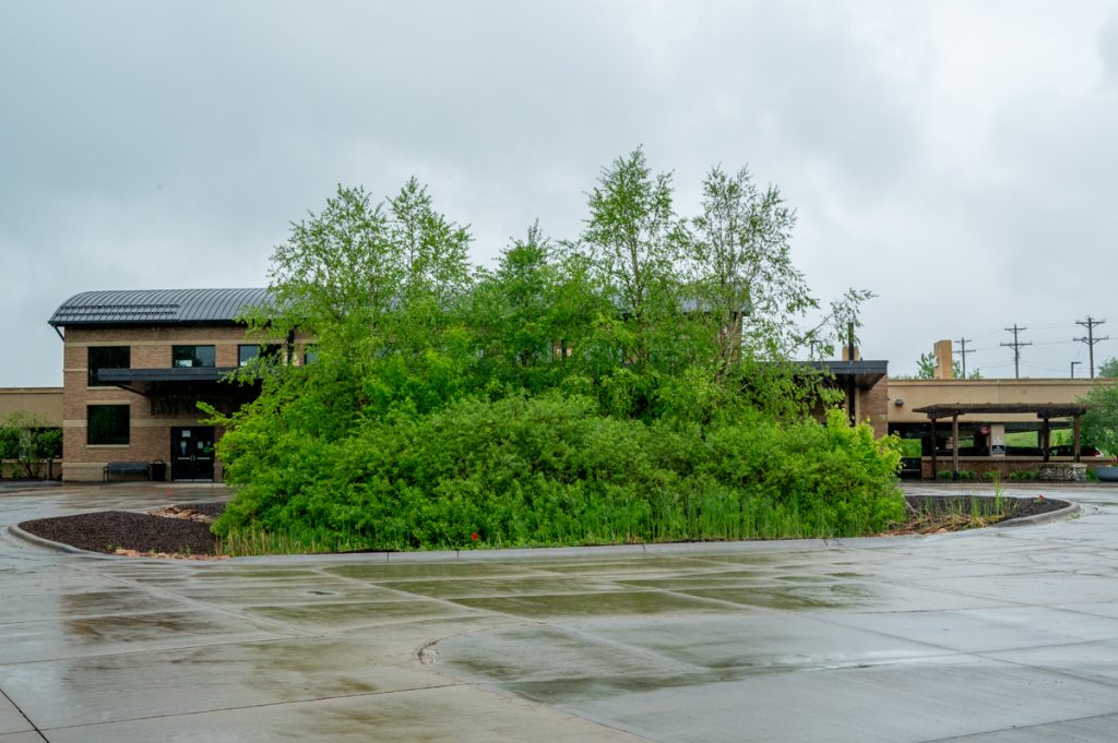 Greenery in front of the East Creek Southwest Transit Station