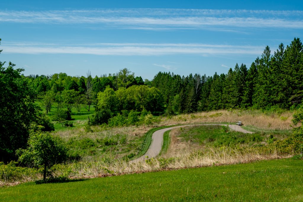 View of paved path winding through a forest at the Minnesota Landscape Arboretum 
