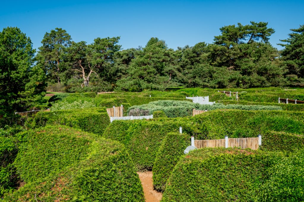 The maze at the Minnesota Landscape Arboretum 
