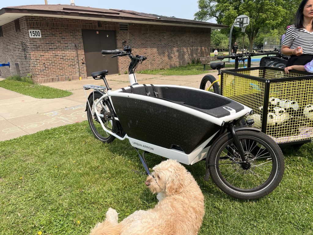 A Doodle dog sits leashed to an Urban Arrow cargo bike, which has a large basket set between the wheels, in front of the seat.