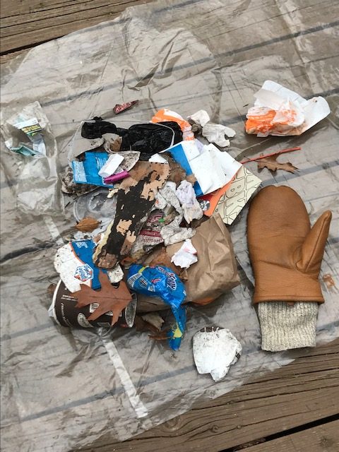 Left and right pictures both show an assortment of litter.