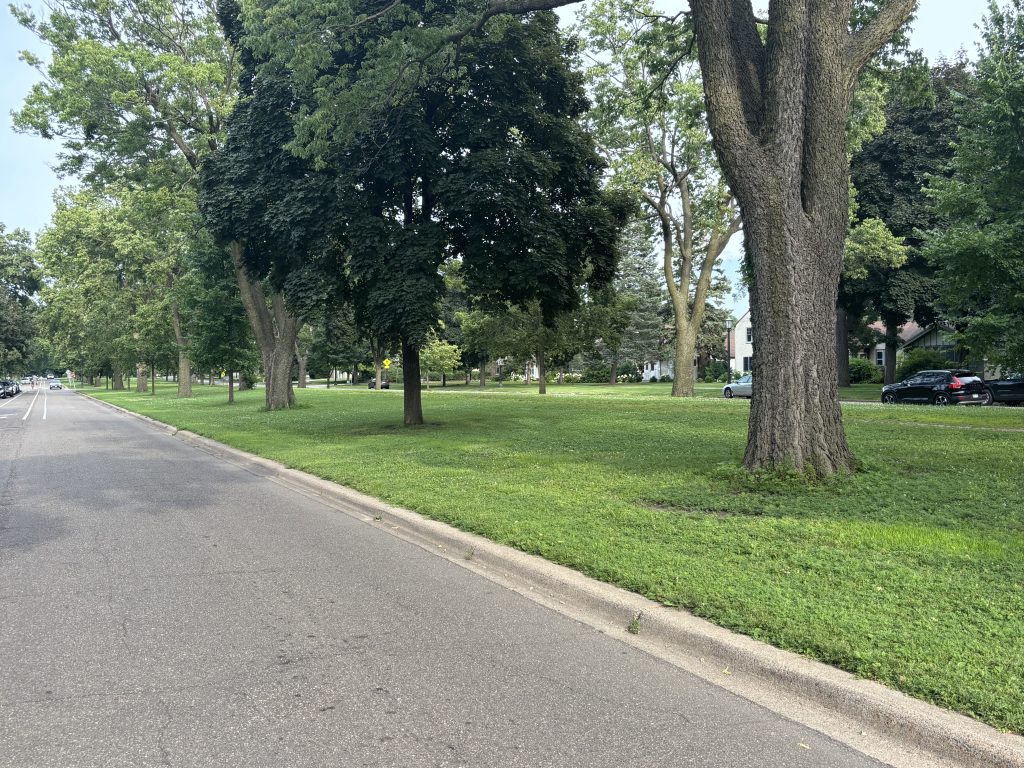 A row of trees is shown on the Summit Avenue median by the University of St. Thomas.