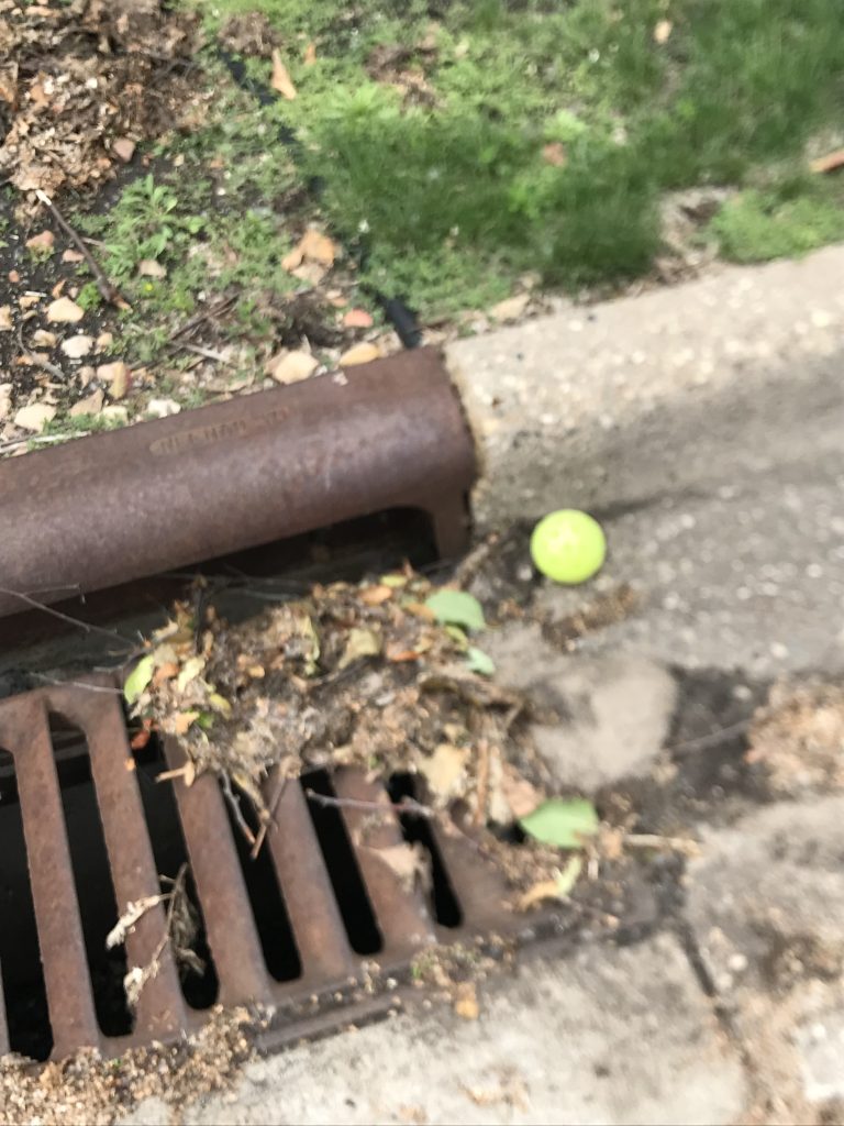 Litter near a sewer drain