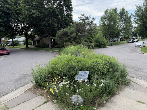 A residential street with a landscaped traffic diverter planted with flowers and shrubs, blocking cars from driving straight through while still allowing people walking and biking to pass.