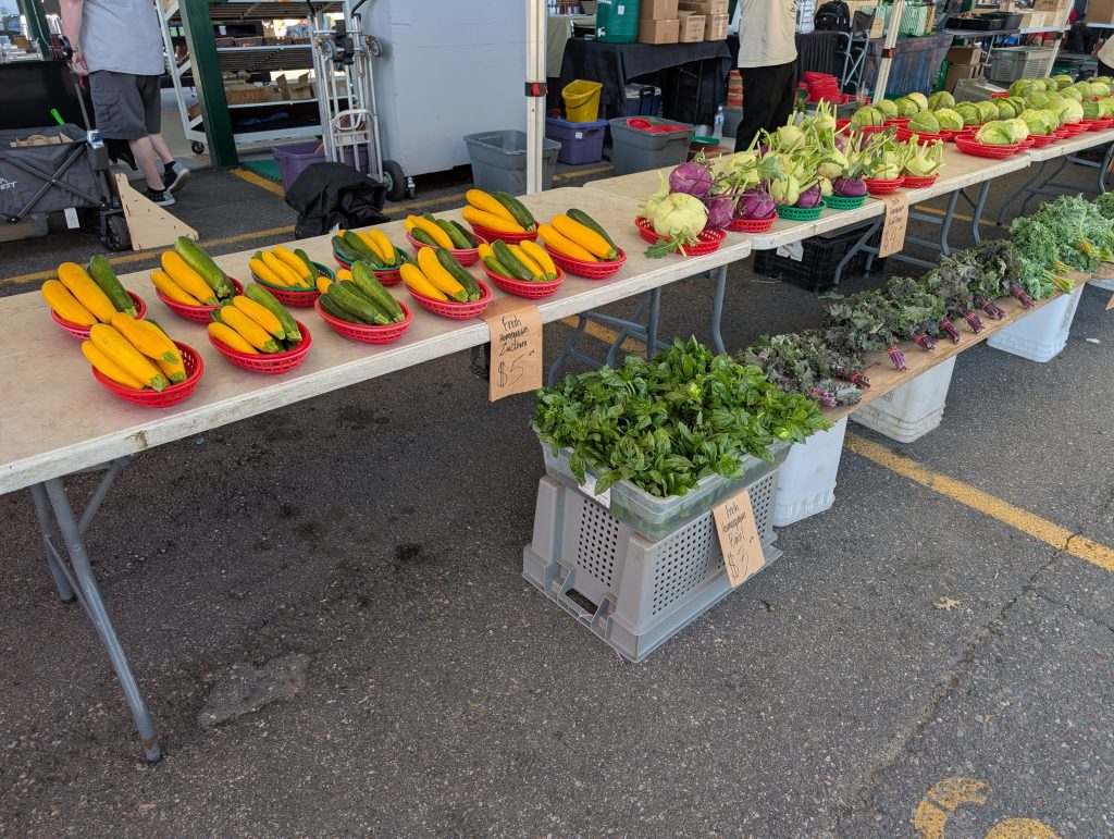 Tables with summer squash, kohlrabi, cabbage, basil and kale