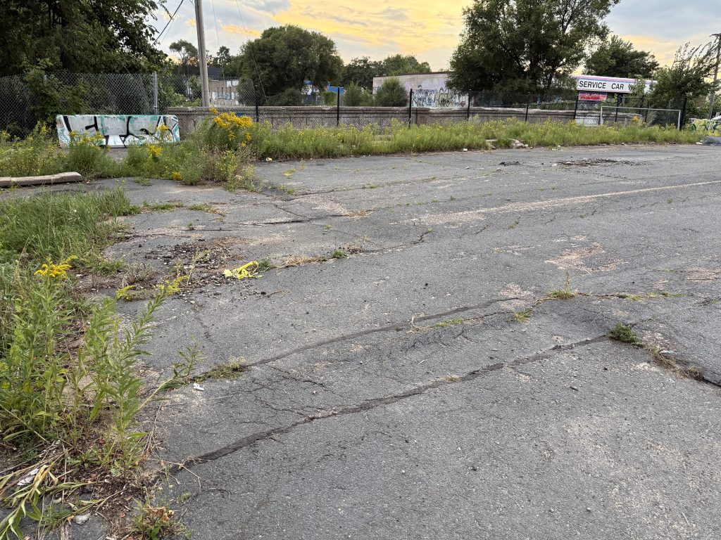 Standing on the south side of the bridge, vegetation is growing on and around the bridge road pavement. Bumps and cracks in the pavement show signs of settling, and streetcar tracks.