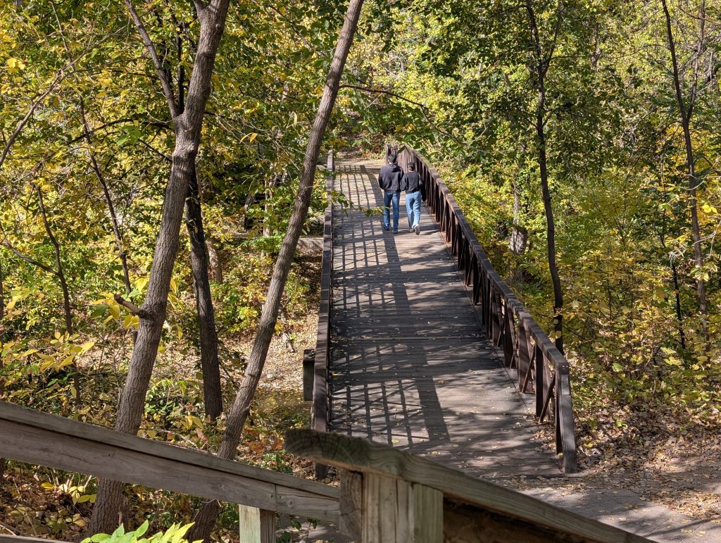 two people walk across a pedestrian bridge amongst foliage