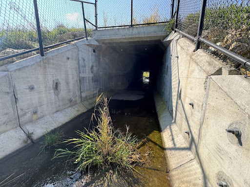 A wildlife passage bridge under I-35 alongside Turtle Creek, made of cement and surrounded by a fence on 3 sides.