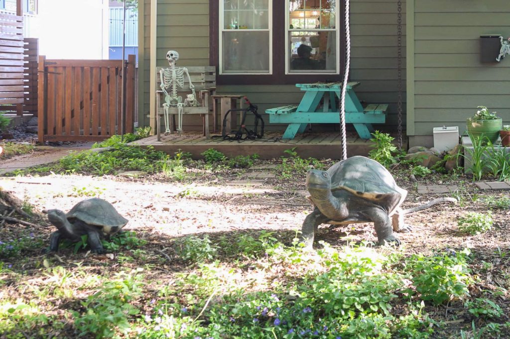 Three skeletons and two tortoises in the front yard of a house.