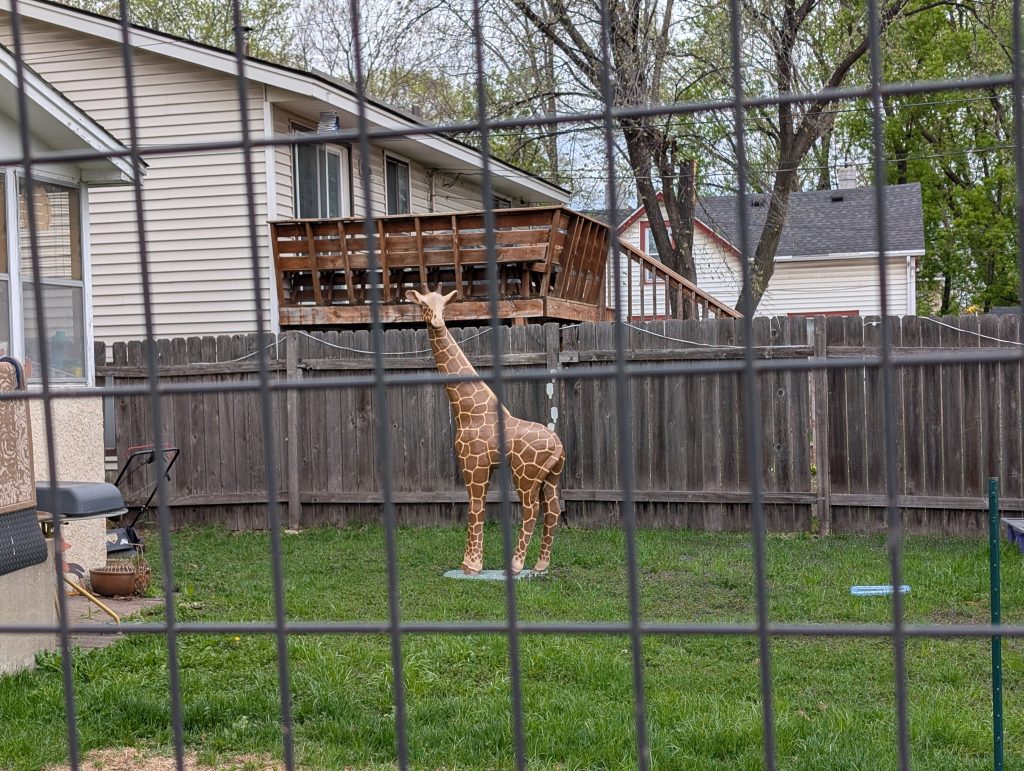 backyard with giraffe visible through fence