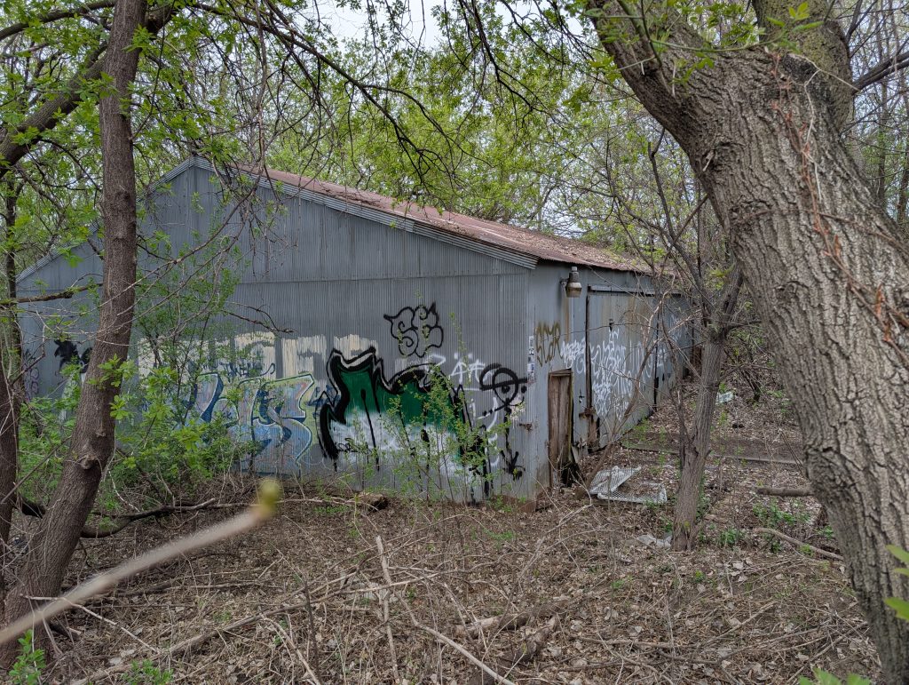 shed amidst trees