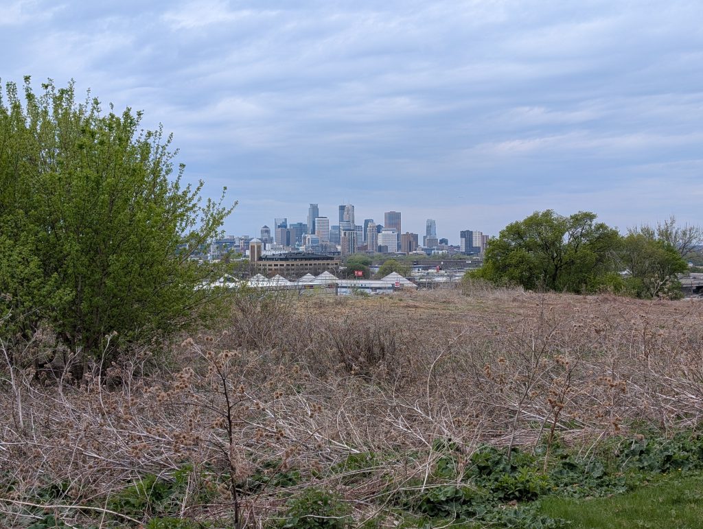 skyline seen through gap in vegetation
