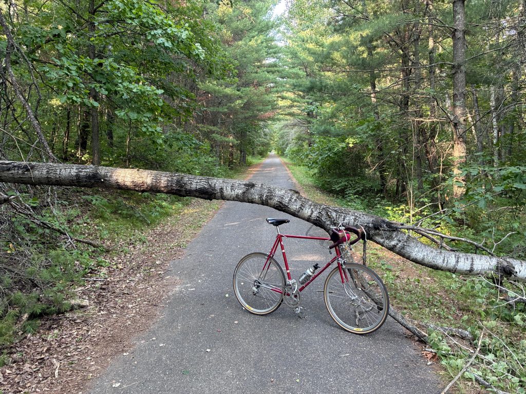 A fallen tree clocks the Heartland trail. This was gone when I rode again a week later.