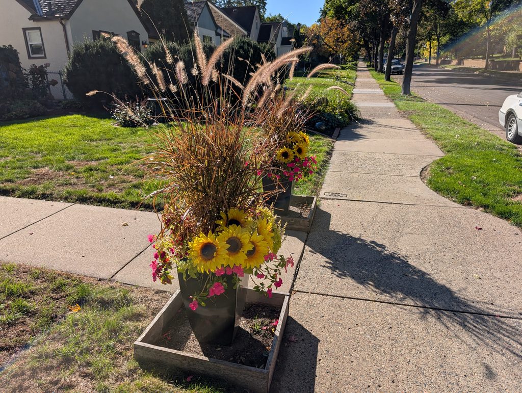sidewalk with planters in front of a house featuring sunflowers among others