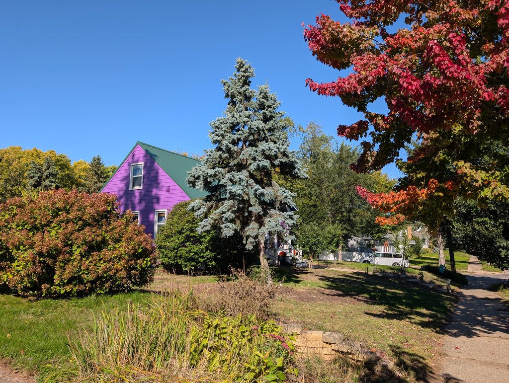 house with purple siding and green roof surrounded by trees in a wide range of colors